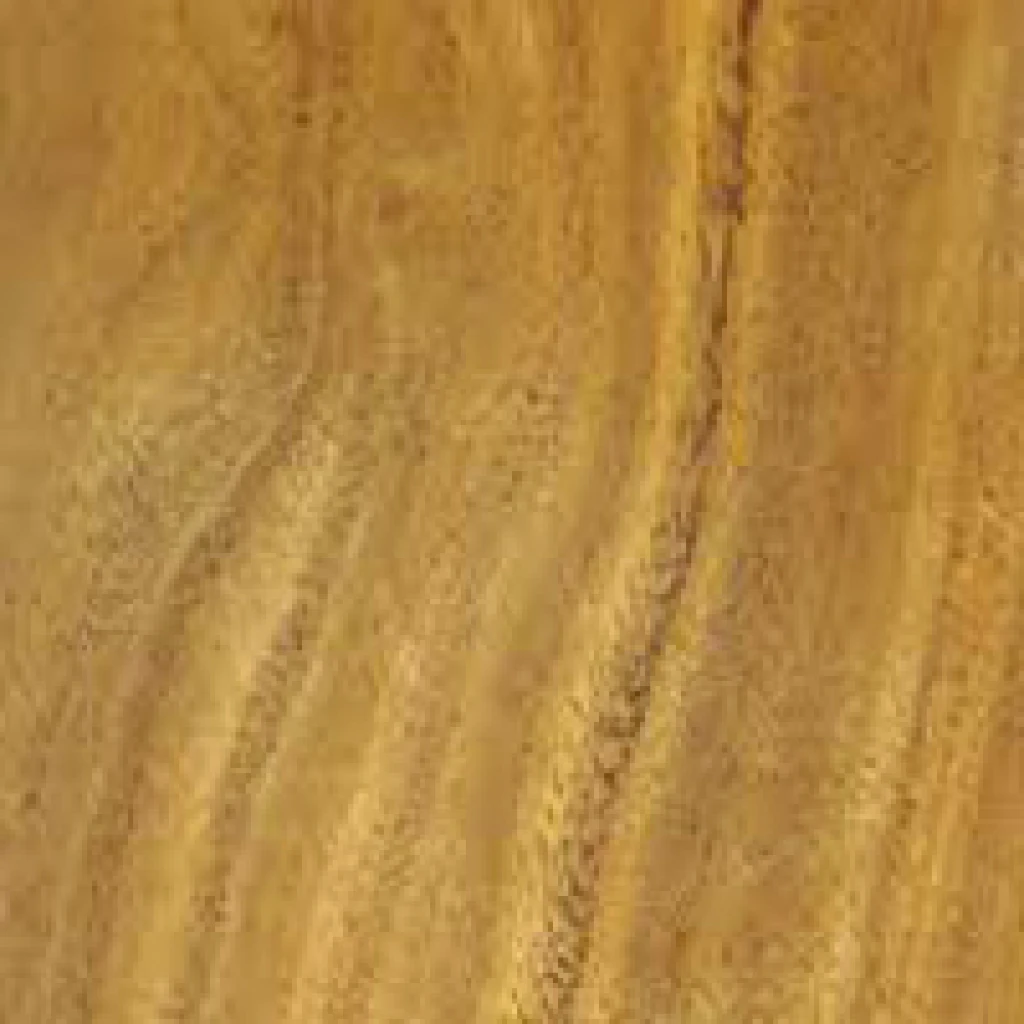Yellow Stringybark