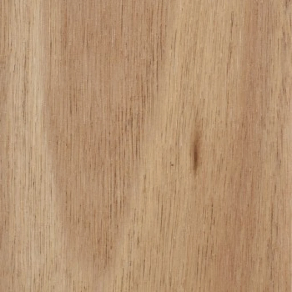 Blackbutt